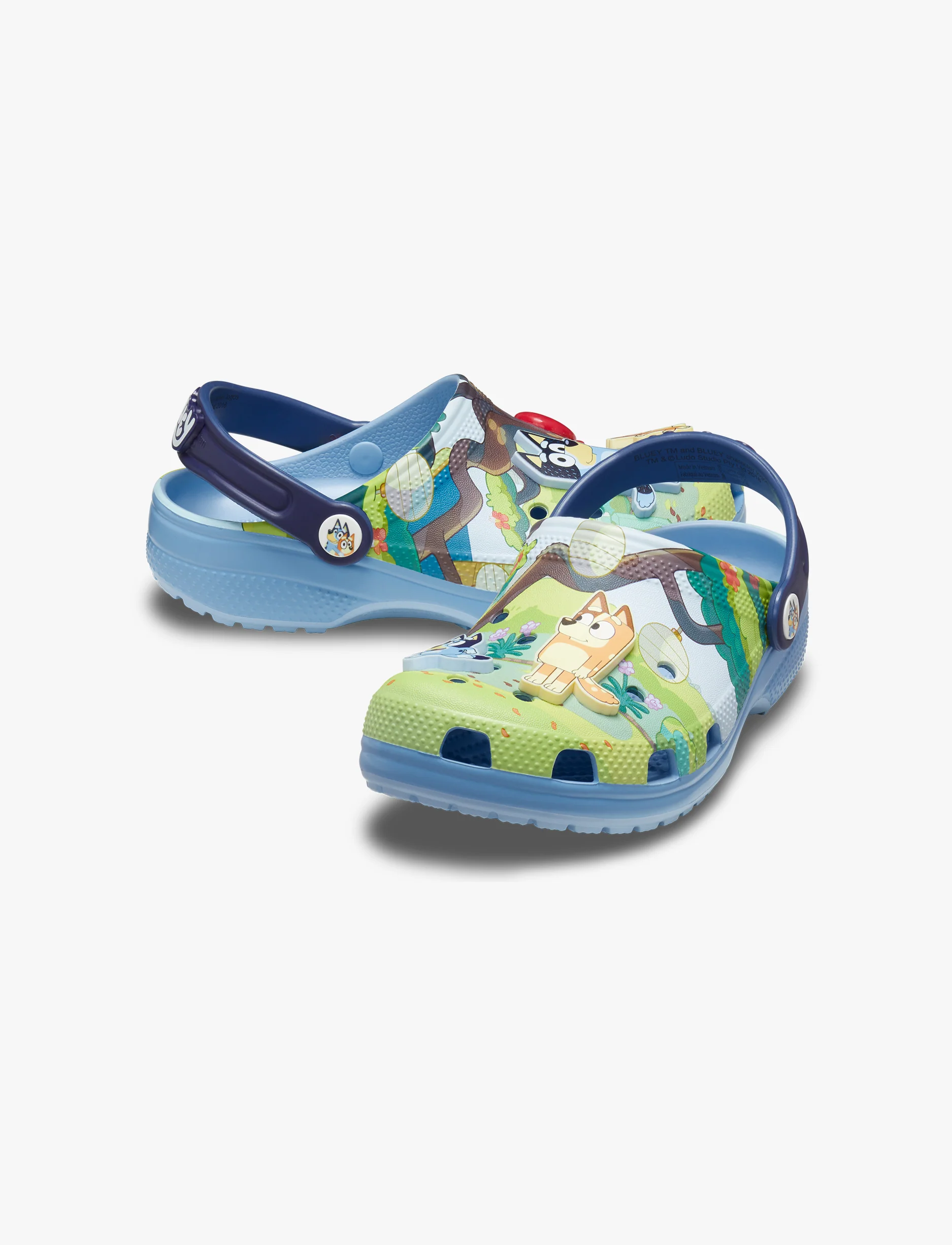 Crocs Toddler Bluey Classic Clog K -  כפכפי קרוקס בלואי לילדים - Image 4