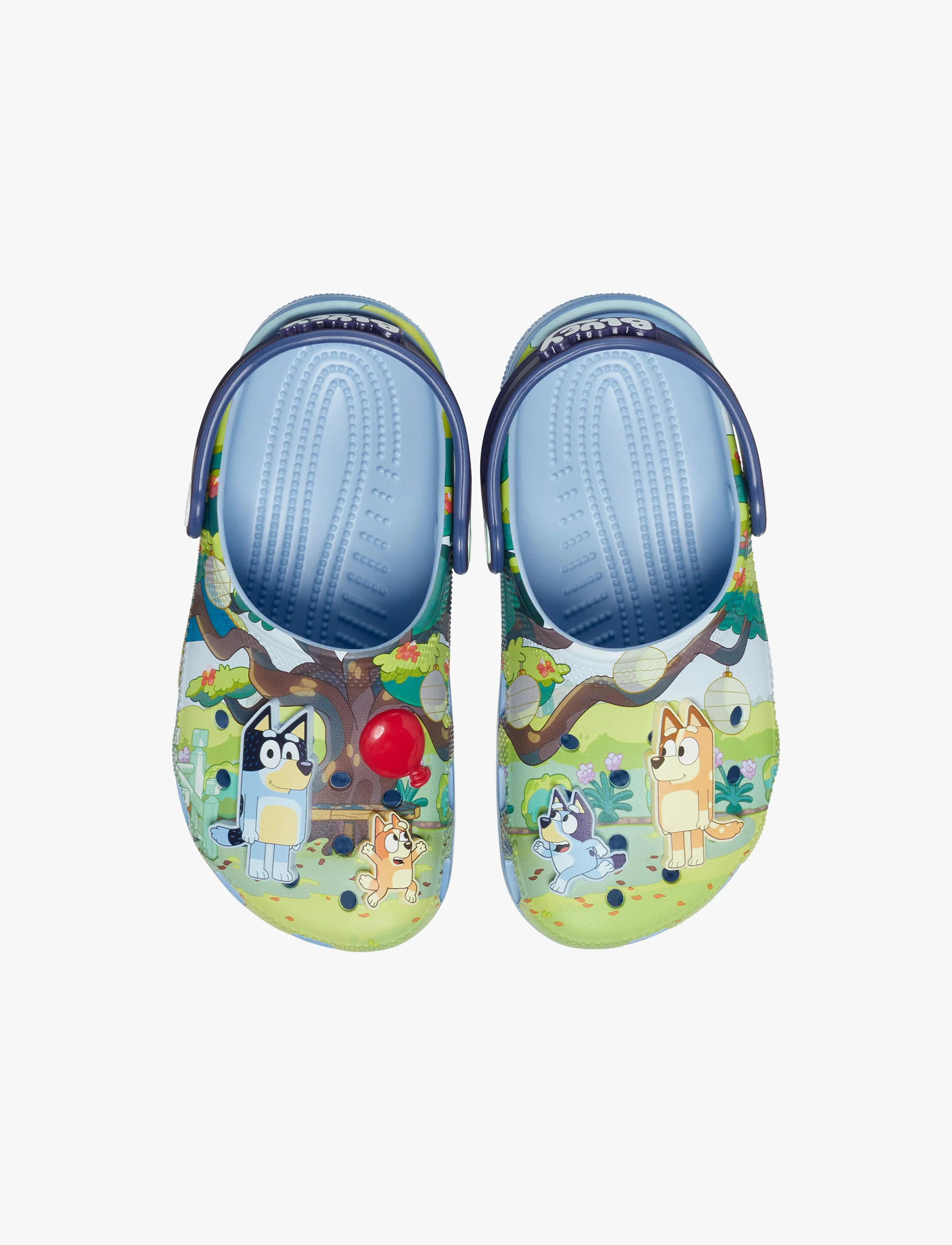 Crocs Toddler Bluey Classic Clog T- כפכפי קרוקס בלואי לילדים מידות קטנות - Image 3