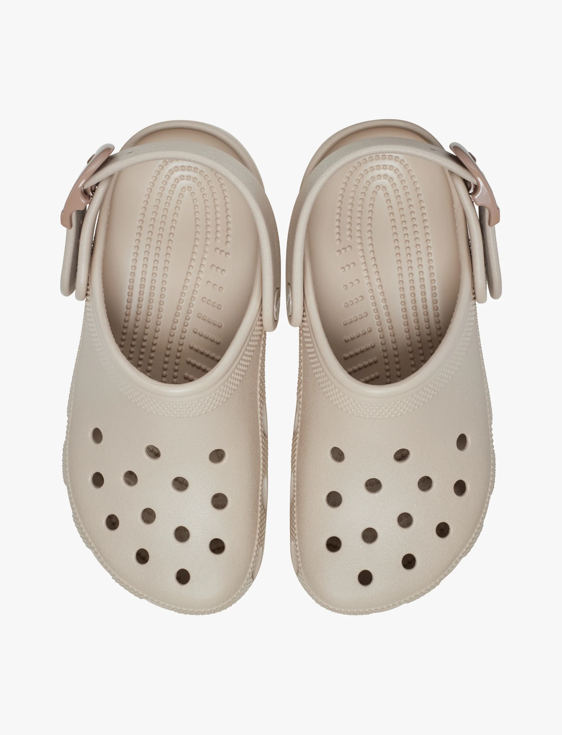 Crocs Classic Buckle Clog - כפכפי קלוג קרוקס עם אבזם בצבע דולסה - Image 4