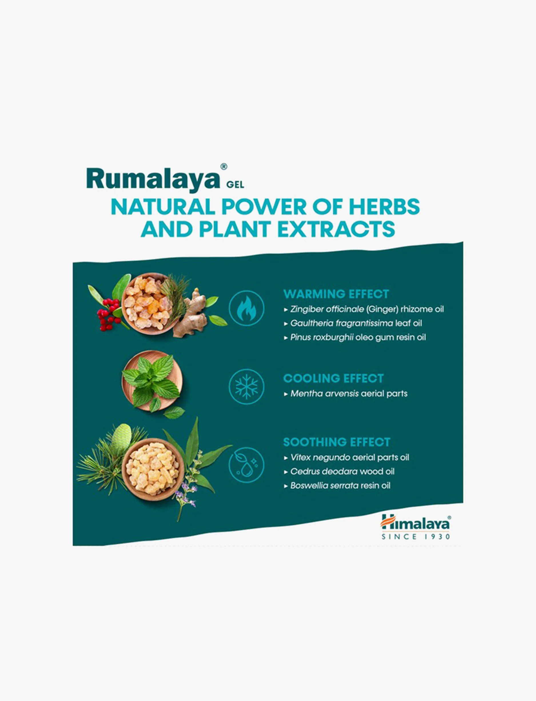 Himalaya Rumalaya Gel - ג'ל רומלאיה 50 גרם - Image 3