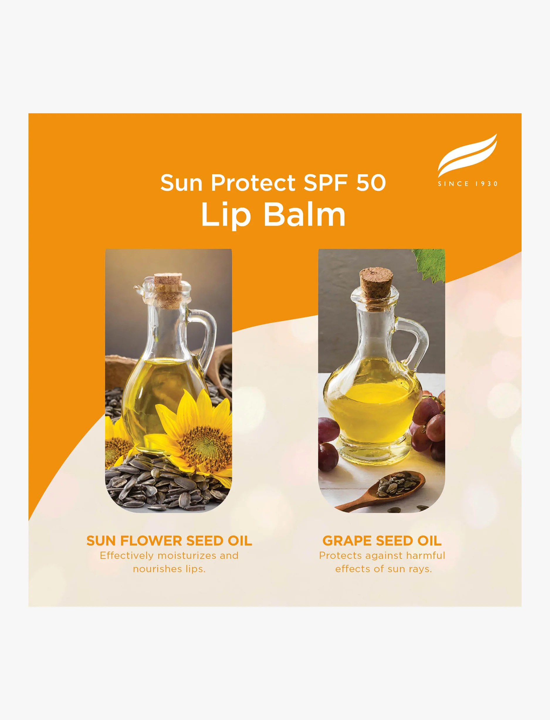 SPF 50 שפתון להגנה מהשמש - Himalaya - Image 3
